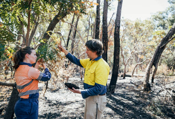 Bushfire Resilience: Expert Consultancy Services for WA Landowners