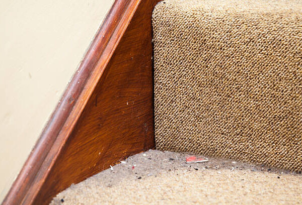 Common Carpet Care Mistakes to Avoid