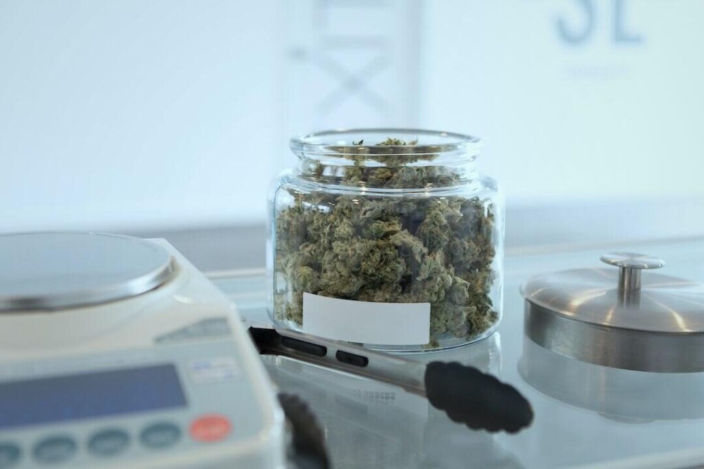 Exploring the Different Types of Infused Joints and Their Unique Effects
