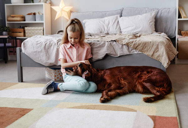 The 9 Pet Sitter Checklist for New Pet Owners