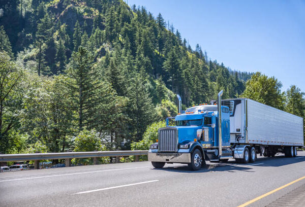 Building a Sustainable Fleet: Steps Towards an Electrified Future