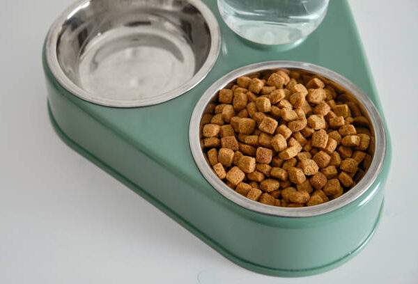 Stainless Steel Litter Box 5 Devastating Defects