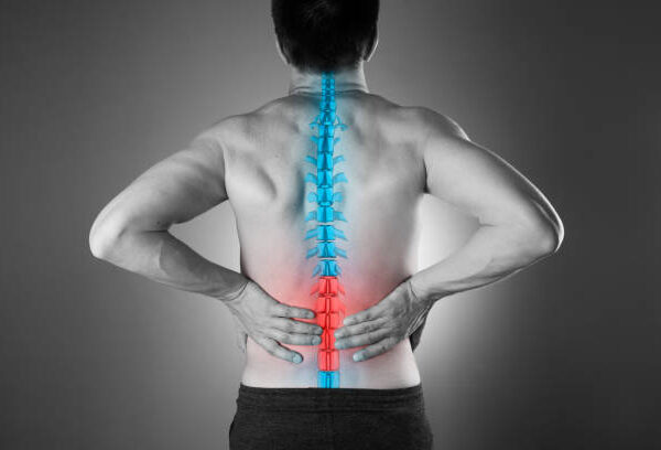 The Importance of Spine and Musculoskeletal Care for Optimal Wellness