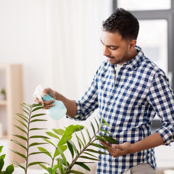 The Benefits of Indoor Gardening and How to Get Started