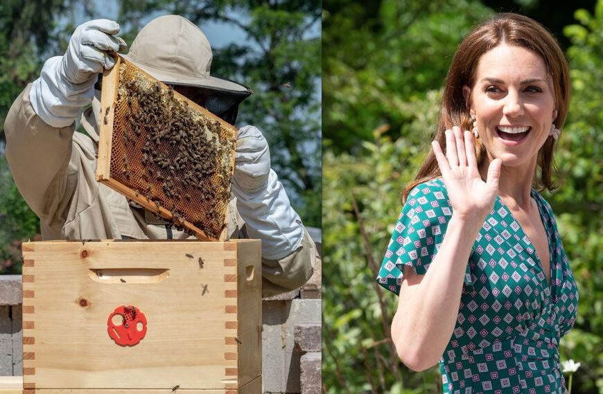 Exploring Kate Middleton’s Beekeeping Hobby: A Royal Passion for Nature