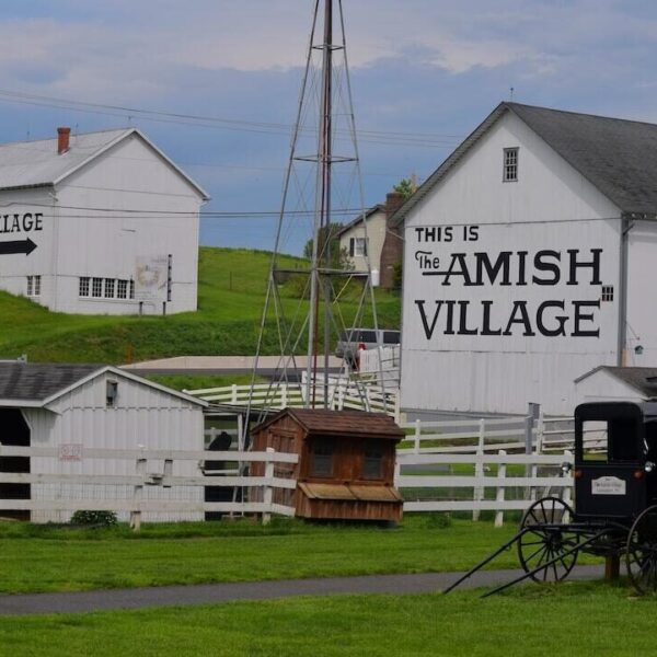 Exploring the Timeless Beauty of Amish Country Furniture