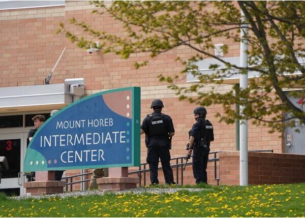 Understanding the Mt. Horeb School Shooting: Implications, Response, and Future Steps