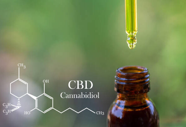 How Tetrahydrocannabinolic Acid Products Optimize Wellness of Users