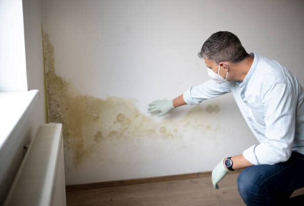 The Effects of Brown Mold on Your Health and How to Protect Yourself