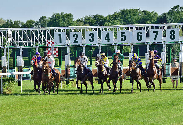 Templegate Tips: Your Guide to Successful Horse Racing Betting