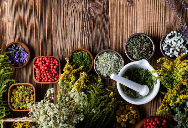 Exploring Grenblis: A Comprehensive Guide to This Unique Herb