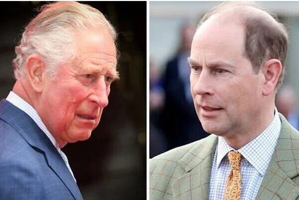 Prince Charles Archie Lilibet Estrangement: 3 Key Family Bond