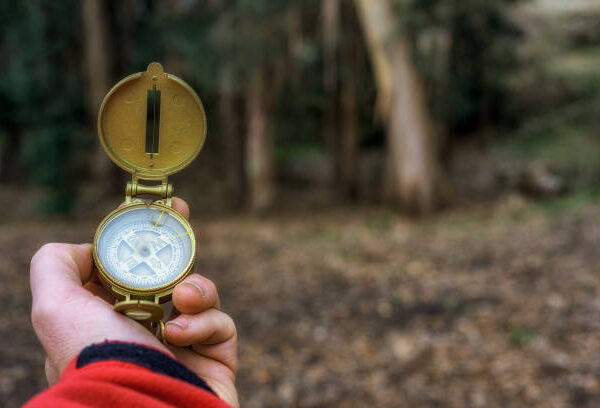 Navigation with Precision: Brujula Uses and Understanding