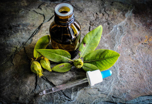 The Risks and Realities of Death by Oregano Oil: What You Need to Know