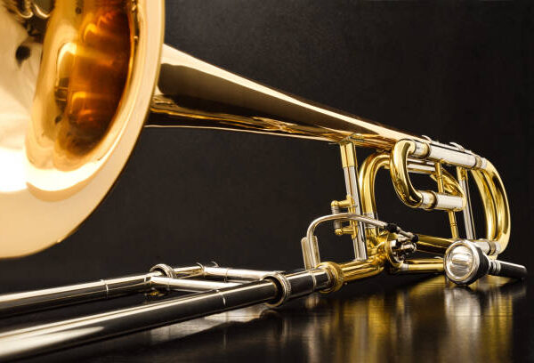 The tom brown professional silvert rombone is ideal for budding trombonists and professional musicians looking to upgrade.