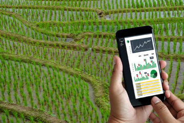 cropped hand holding smart phone farm