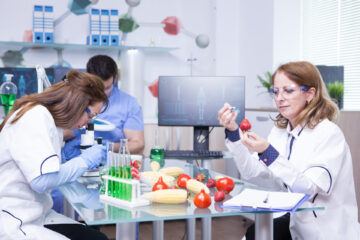 treatment study genetically engineered strawberries laboratory by group scientist test tubes with green solutions